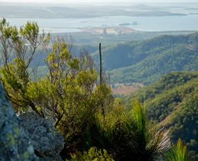 Mount Larcom Climb - Hotel Accommodation 1