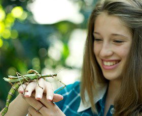 CSIRO Discovery Centre - Hotel Accommodation 0