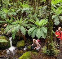 Baw Baw National Park - Hotel Accommodation