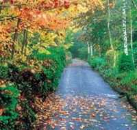 Mount Wilson and Mount Irvine