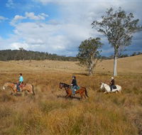 Chapman Valley Horse Riding - Hotel Accommodation