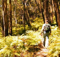 Federal Pass - Hotel Accommodation