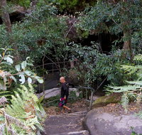 Leura Cascades Fern Bower - Hotel Accommodation