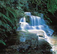 Leura Cascades - Hotel Accommodation