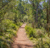 Mares Forest Creek walking track - Hotel Accommodation