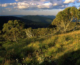 Namadgi National Park And Visitors Centre - Hotel Accommodation 2