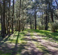 Wombeyan Waterfall walking track - Hotel Accommodation