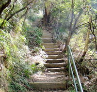 Nature track - Hotel Accommodation