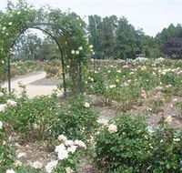 Victoria Park Rose Garden - Hotel Accommodation