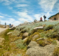 Mount Kosciuszko Summit walk - Hotel Accommodation