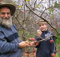 Pine Crest Orchard - Hotel Accommodation