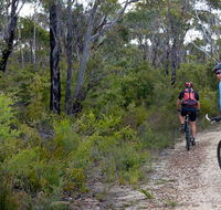 McMahon's Point ride - Wentworth Falls - Hotel Accommodation