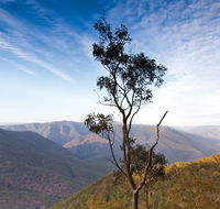 Salisbury Waters walking track - Hotel Accommodation