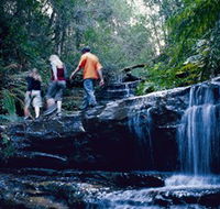 South Lawson Waterfall Circuit - Hotel Accommodation