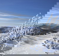 Rock Creek snowshoe track - Hotel Accommodation