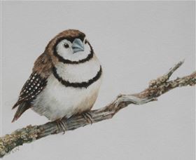 Bungendore Fine Art - Hotel Accommodation 1