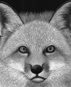 Bungendore Fine Art - Hotel Accommodation 2