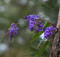 Mann River Nature Reserve - Hotel Accommodation