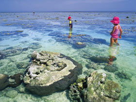 Southern Great Barrier Reef - Hotel Accommodation 1