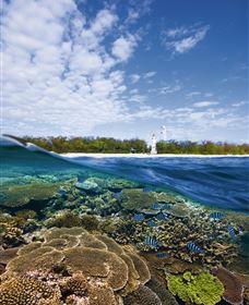 Southern Great Barrier Reef - Hotel Accommodation 2