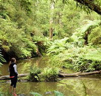 Morwell National Park - Hotel Accommodation