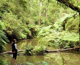 Morwell National Park - Hotel Accommodation 0