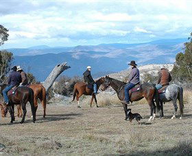 Snowy Wilderness - Hotel Accommodation 3