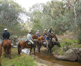 Snowy Wilderness - Hotel Accommodation 5