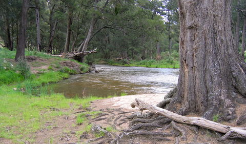 Bangadilly National Park - Hotel Accommodation 3