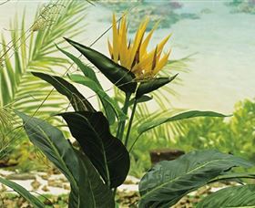 Lapstone NSW Hotel Accommodation