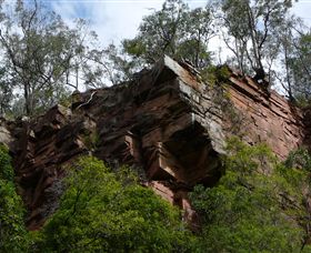 Mitchell River Walking Track - Hotel Accommodation 2