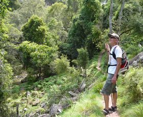 Mitchell River Walking Track - Hotel Accommodation 1