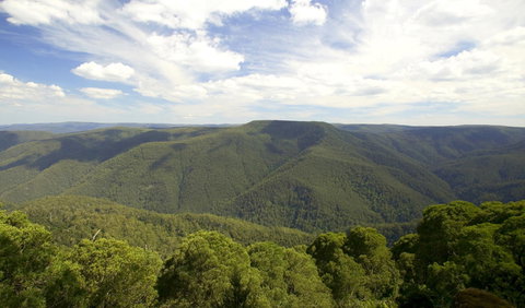 Barrington Tops National Park - Hotel Accommodation 0