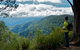 Barrington Tops National Park - thumb 3
