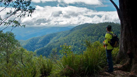 Barrington Tops National Park - Hotel Accommodation 3