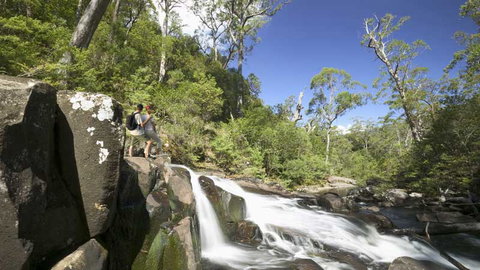 Barrington Tops National Park - Hotel Accommodation 2