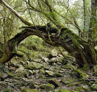 Mitchell River National Park - Hotel Accommodation