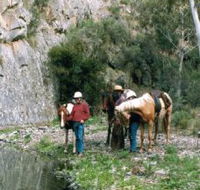 Yarramba Horse Riding - Hotel Accommodation