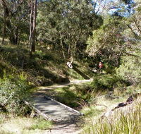 Wollomombi walking track - Hotel Accommodation