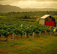 Around Hermitage Wine and Food Trail Hunter Valley - Hotel Accommodation