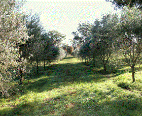 Langdale Farm - Hotel Accommodation