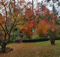 Bellbird Cottage - Hotel Accommodation