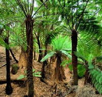 Pegarah Private Nature Reserve  Parenna Place - Hotel Accommodation