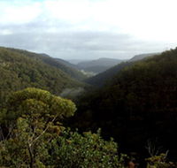 Nattai Gorge Lookout - Hotel Accommodation