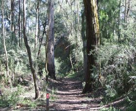 Box Vale Mine Walking Track And Lookout - Hotel Accommodation 0