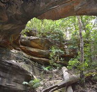 Cave Creek Walking Track - Hotel Accommodation