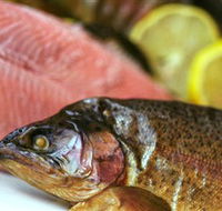 Lovedale Smokehouse Gourmet Pantry Cafe and Masterclasses - Hotel Accommodation