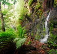 Fairy Bower Falls - Hotel Accommodation