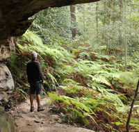 Dharug National Park - Hotel Accommodation