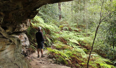 Dharug National Park - Hotel Accommodation 0